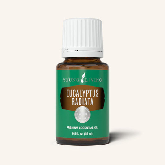 Eucalyptus Radiata 15ml
