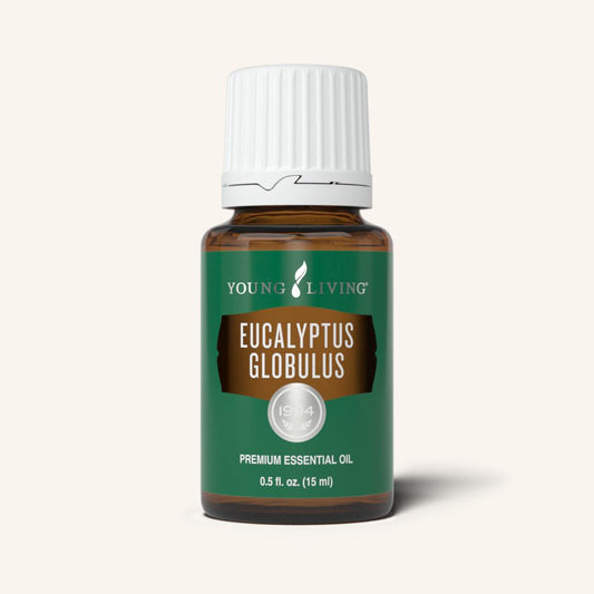 Eucalyptus Globulus 15ml
