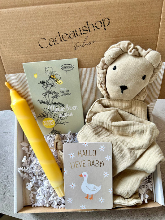 Cadeaubox - Baby leeuw