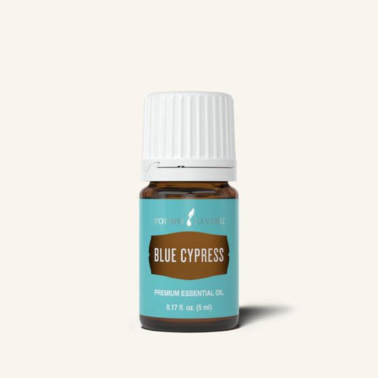 Blue Cypress